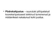 PUIDURIKKED #92