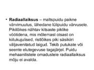 PUIDURIKKED #100