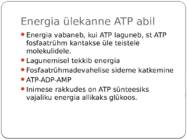 Energia vahendamine organismis #4