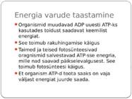 Energia vahendamine organismis #6