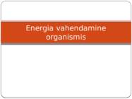 Energia vahendamine organismis