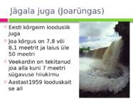 JÄGALA JÕGI #11
