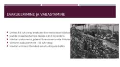 Auschwitz #11