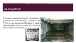 Auschwitz #7