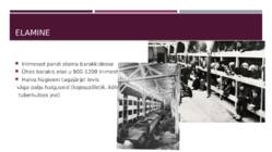 Auschwitz #8