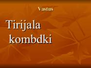 Viktoriin #17