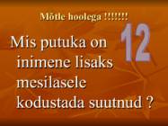 Viktoriin #24