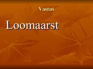 Viktoriin #29