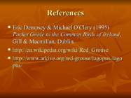 Introducing Red Grouse Scoticus-Lagopus Lagopus scotica- #9