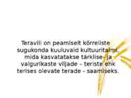 Teraviljad #2