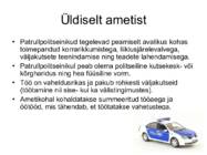 PATRULLPOLITSEI #2