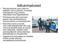 PATRULLPOLITSEI #4