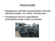 Pipragaas relvaettekanne #3