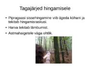 Pipragaas relvaettekanne #5