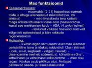 Gastroenteroloogia e-seedeelundite haigused #14