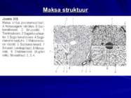 Gastroenteroloogia e-seedeelundite haigused #20
