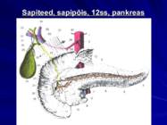 Gastroenteroloogia e-seedeelundite haigused #23