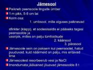 Gastroenteroloogia e-seedeelundite haigused #30