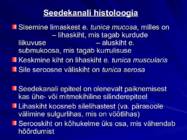 Gastroenteroloogia e-seedeelundite haigused #5