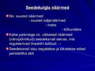 Gastroenteroloogia e-seedeelundite haigused #6
