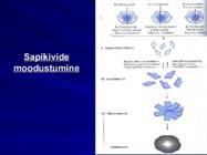 Gastroenteroloogia e-seedeelundite haigused #90