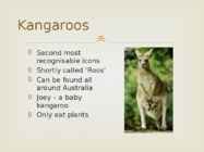Unusual animals #2