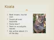 Unusual animals #3