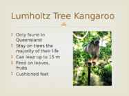 Unusual animals #5