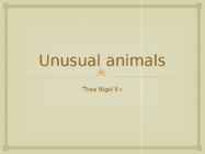 Unusual animals