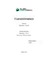 Füüsika aruanne 1-üldmõõtmised