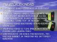 KUSTUTUS-PÄÄSTETÖÖDE KAITSERIIETUS #13