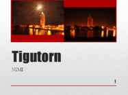 Tigutorn