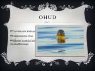Salmistu küla linnamajanduse korraldus tutvustus #12
