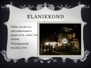 Salmistu küla linnamajanduse korraldus tutvustus #7