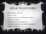 Salmistu küla linnamajanduse korraldus tutvustus #8
