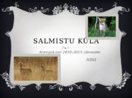 Salmistu küla linnamajanduse korraldus tutvustus