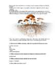 Infosüsteemid #9