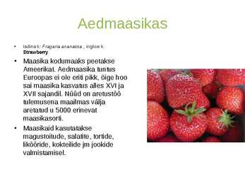Aedmarjad #3
