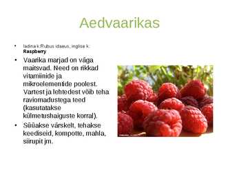 Aedmarjad #4