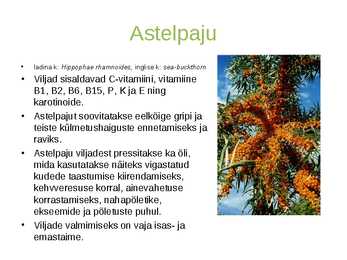 Aedmarjad #8