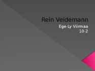 Rein Veidemann