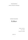Kemikaali riskianalüüs-Ksüleen