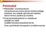 PÕHJASÕDA #15