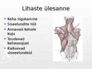 Lihased #4