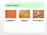 Lihased #6