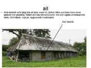 Rehelamu #13
