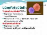 Immuunsüsteem #10