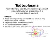 Taime ja looma raku võrdlus #6