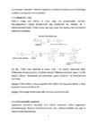 Biokeemia praktikum 1 1-1 2-Ainete tuvastamine kvalitatiivsete reaktsioonidega #7