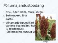 Esitlus Prantsusmaa kohta #40
